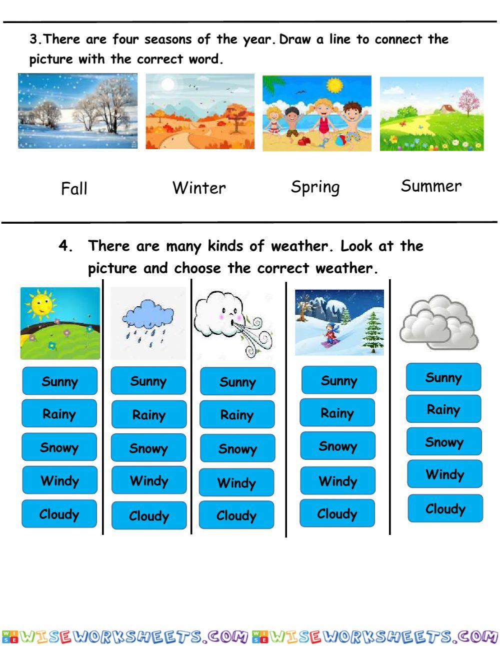 worksheet