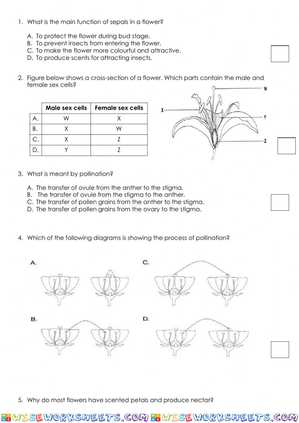 Plant Reproduction