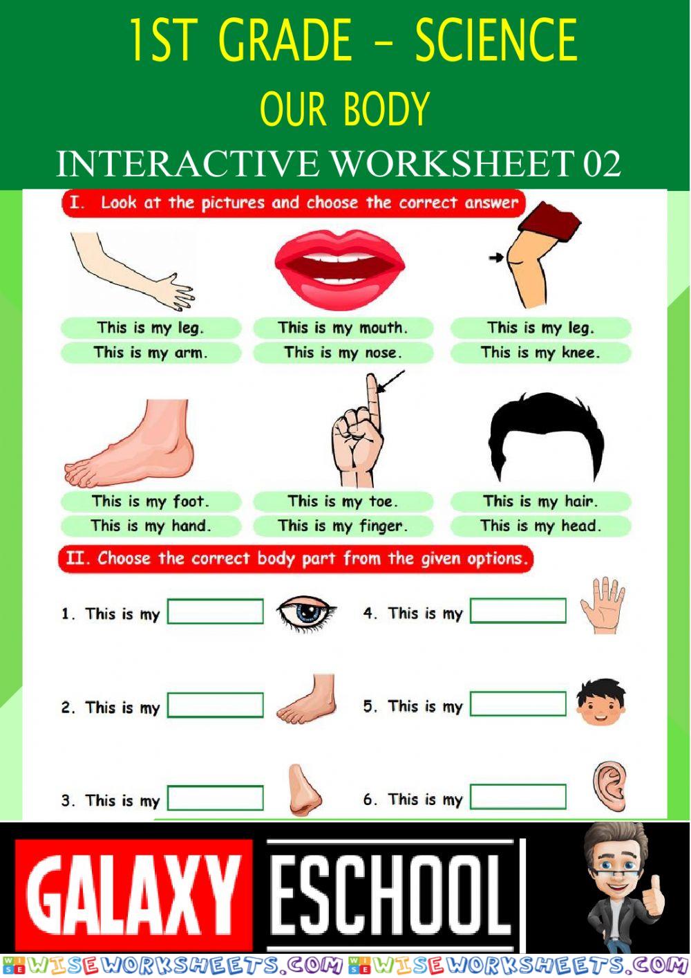 worksheet