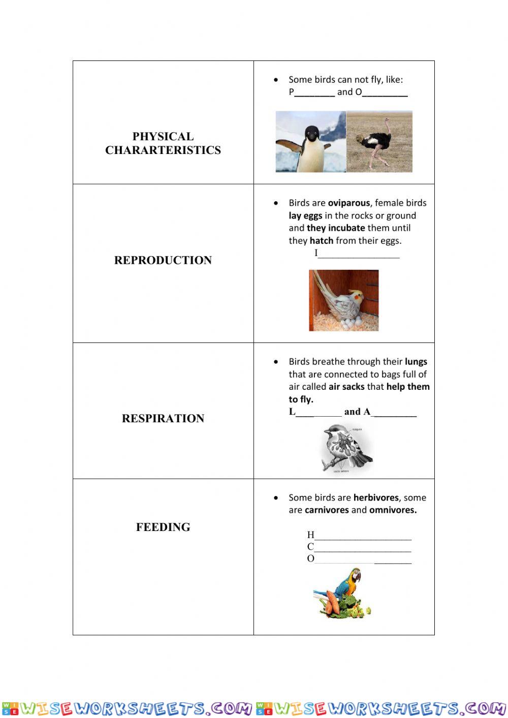 worksheet