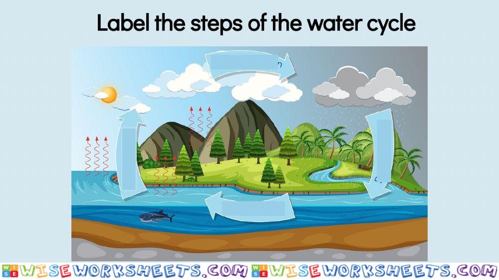 worksheet