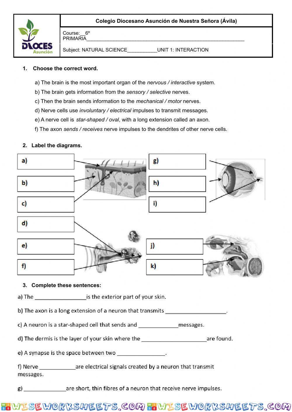 Unit 1: Interaction