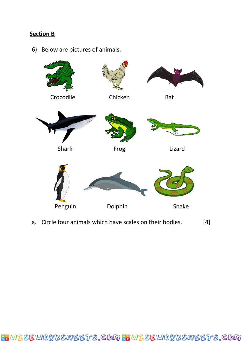 worksheet