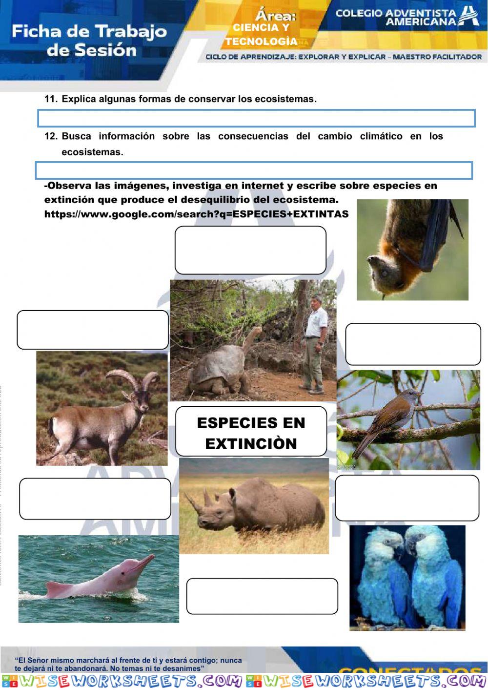 worksheet