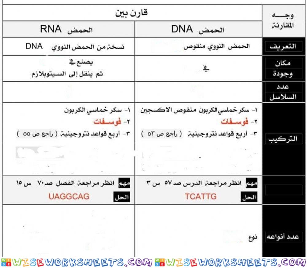 الفرق بين DNA و RNA