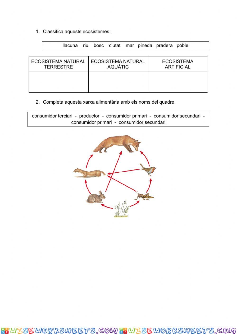 Ecosistemes i xarxes