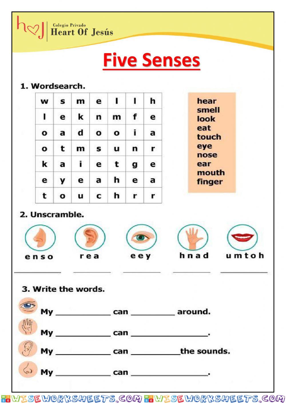 Five Senses