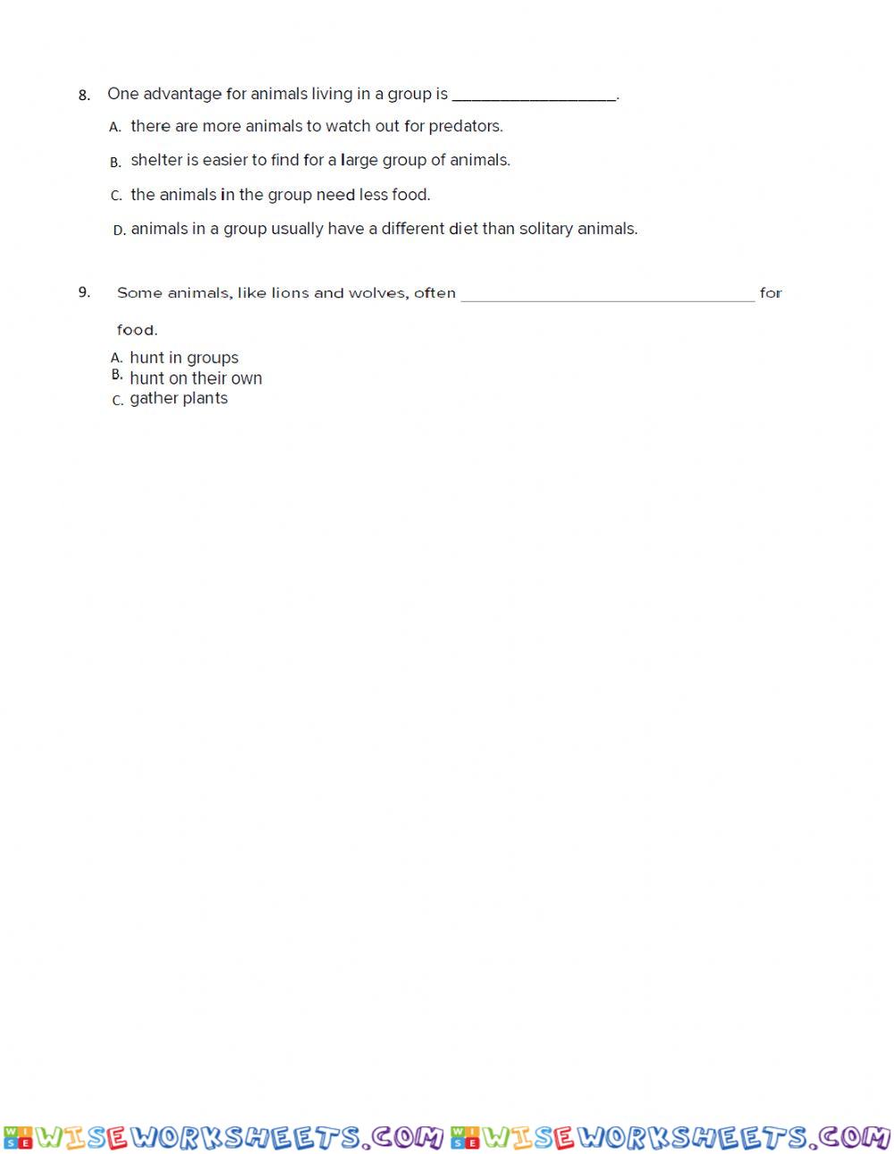 worksheet