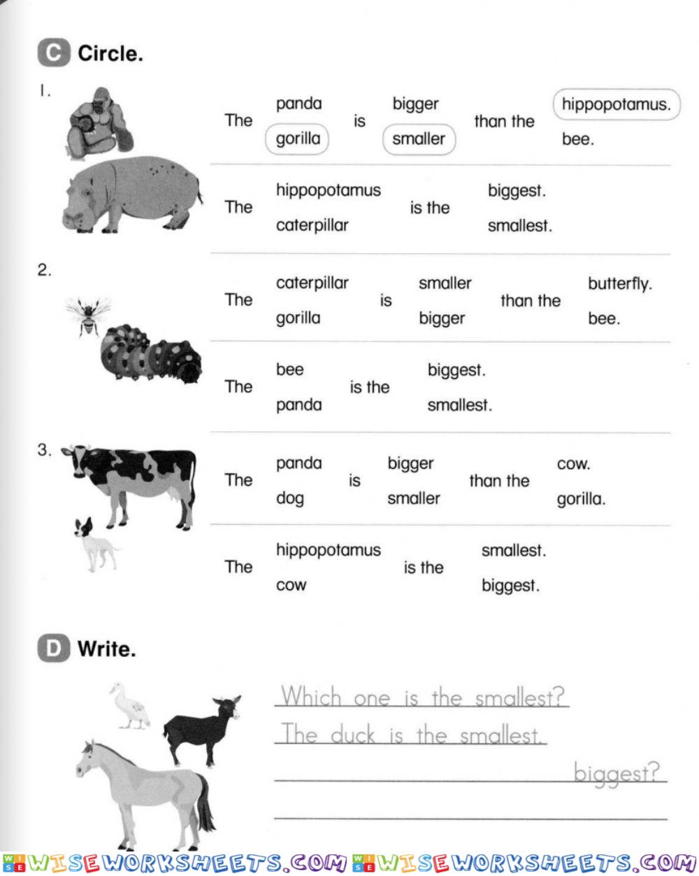 Comparative and superlative
