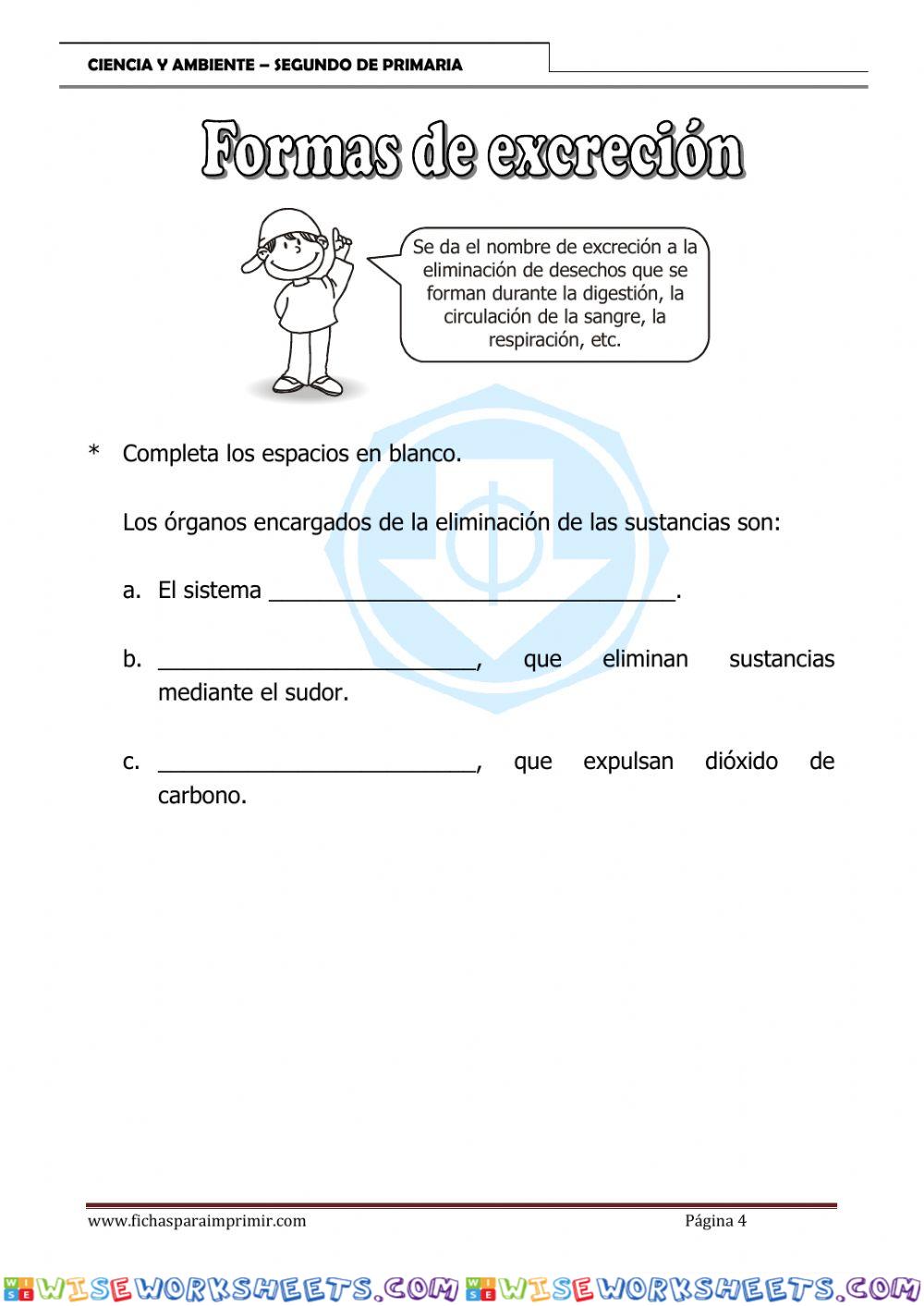 worksheet