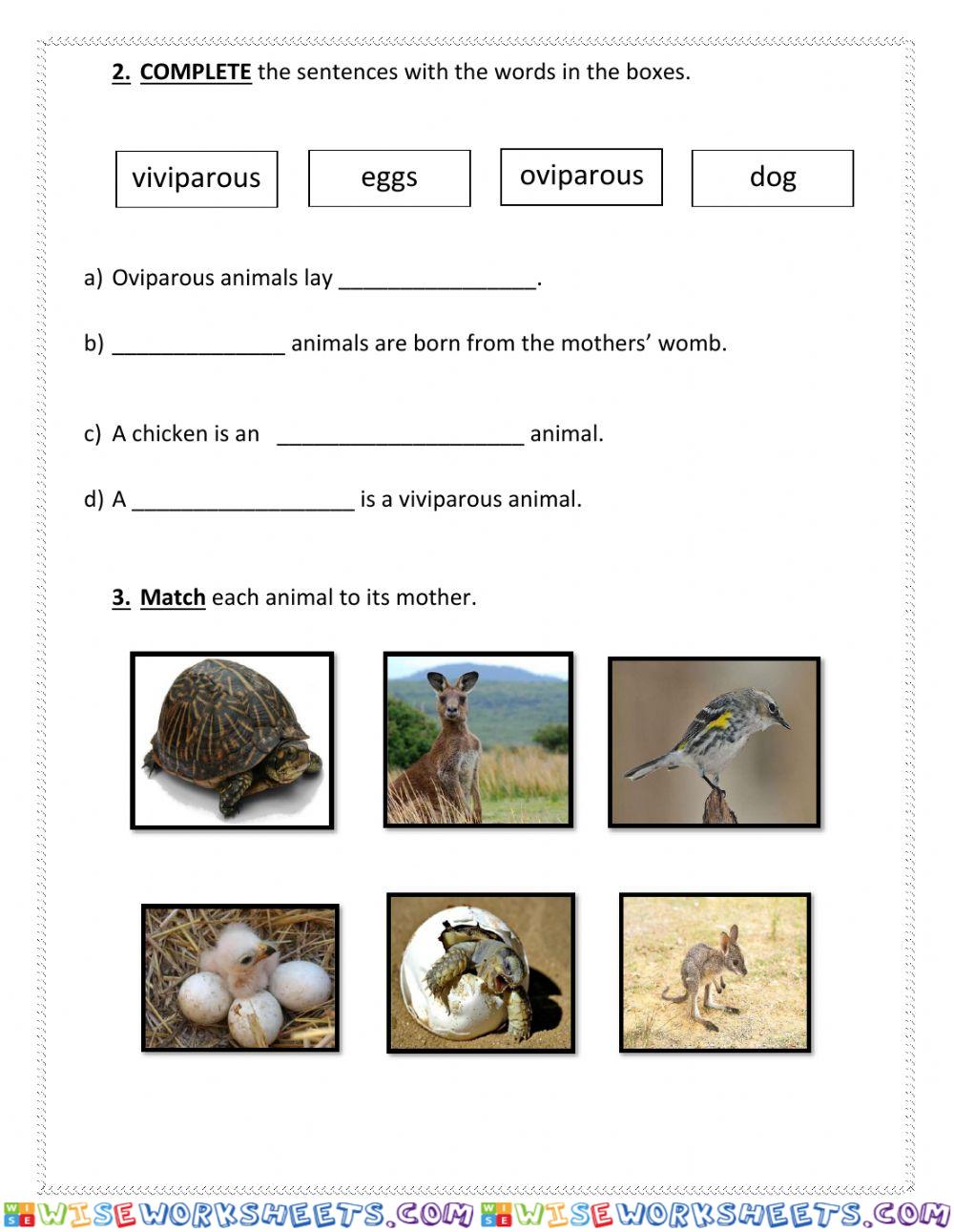worksheet