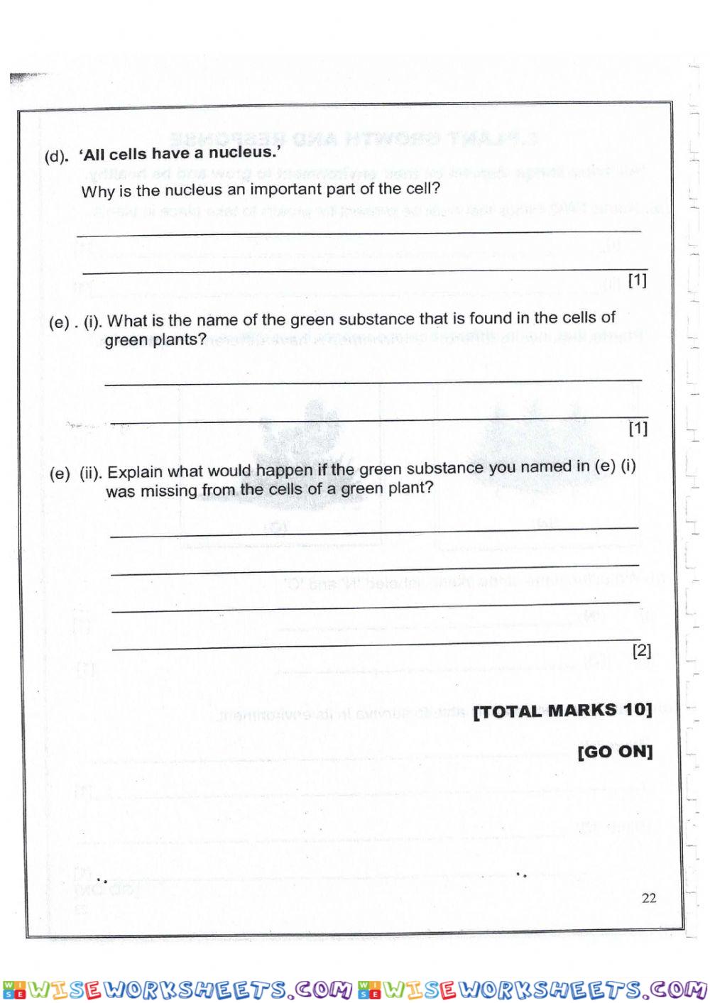 worksheet