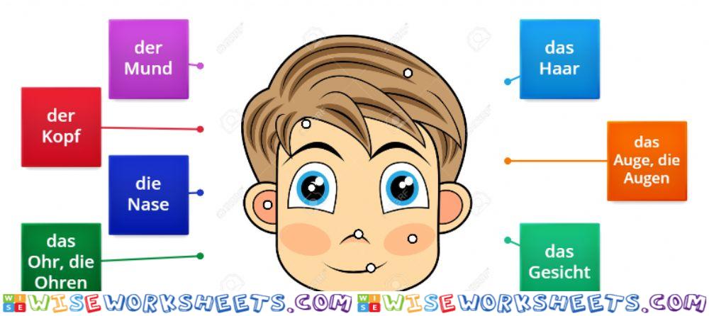 Das Gesicht