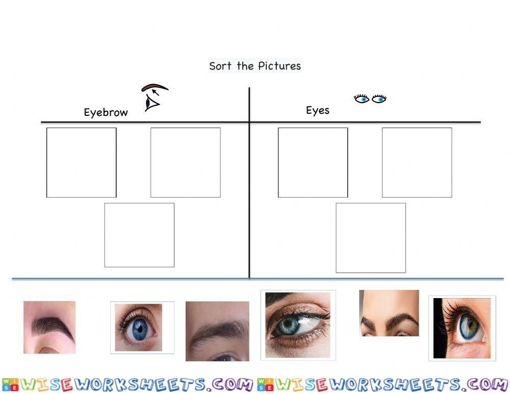 Sorting eyes and eyebrows