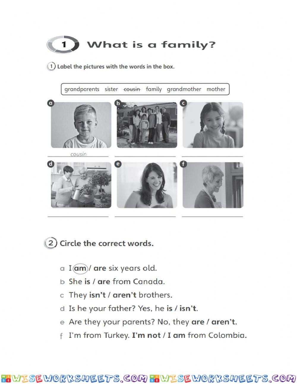 Unit 1 quiz 1st grade