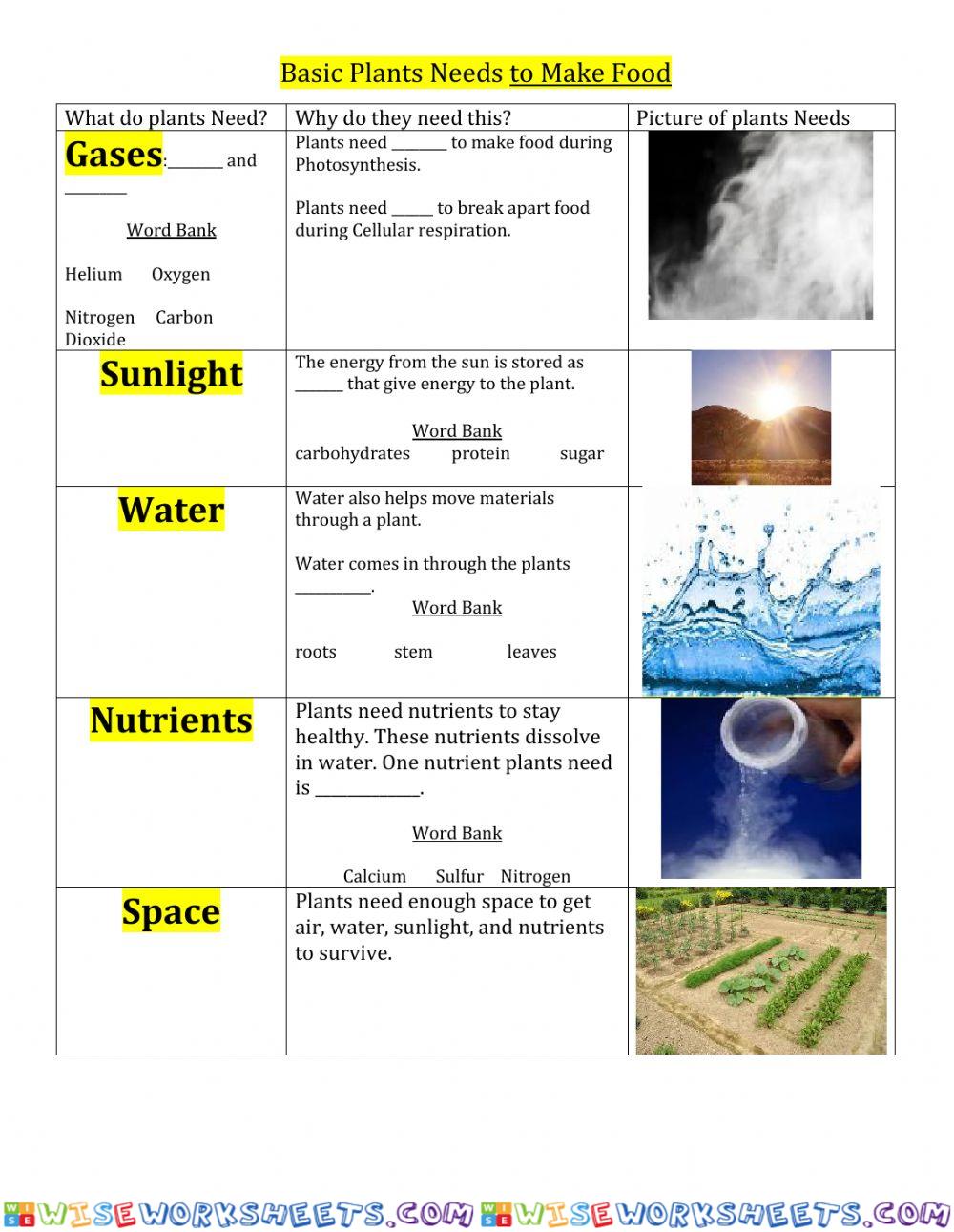 Basic Needs of  a plant