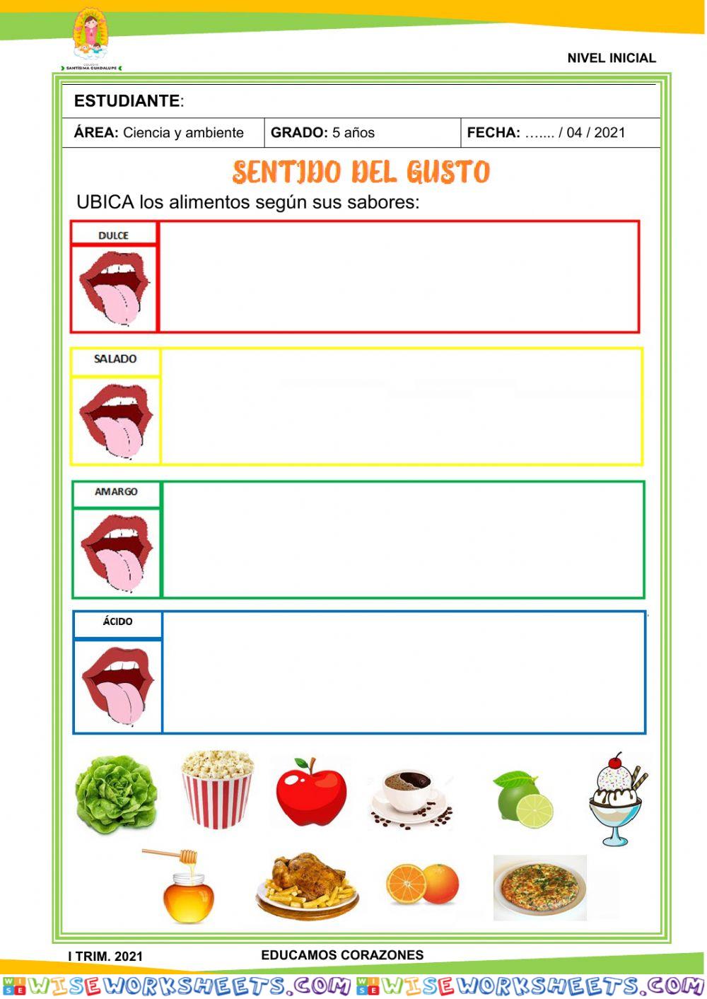 Sentido del gusto