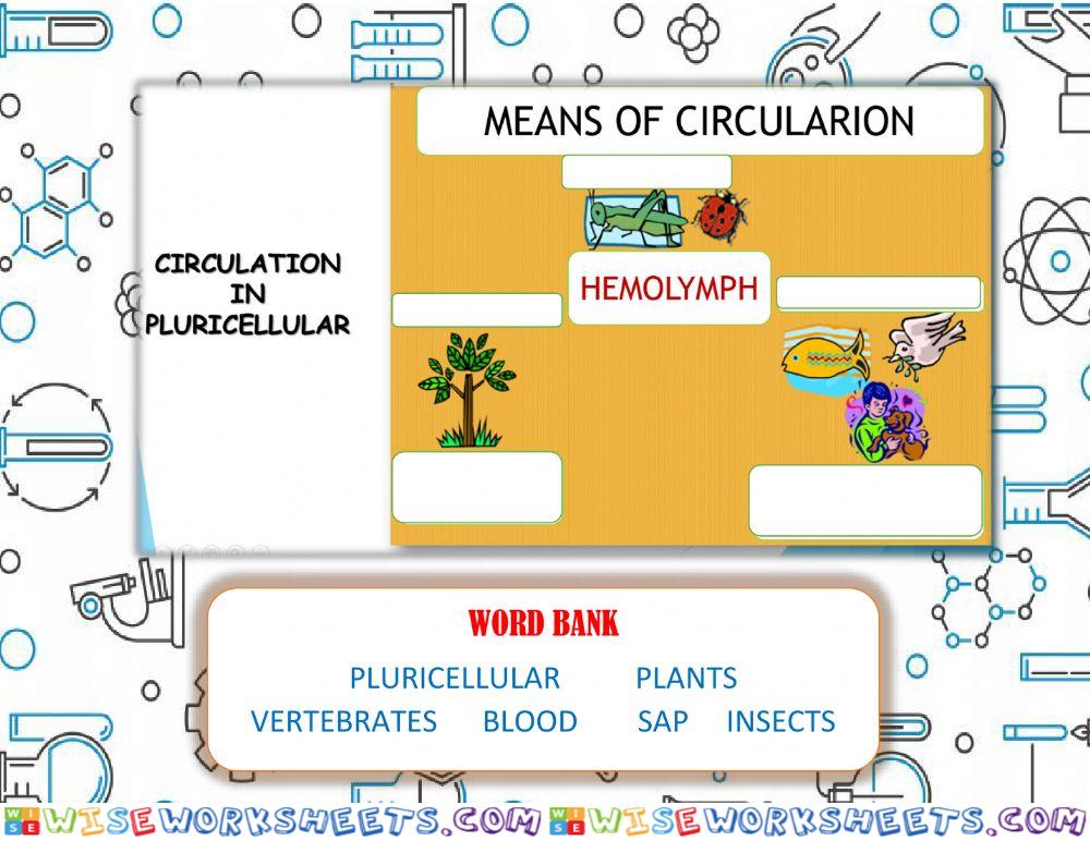 Means of circulation