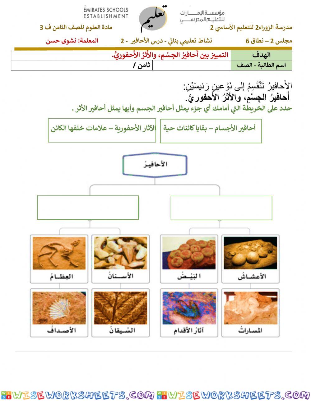 نشاط تعليمي بنائي  -الأحافير 2