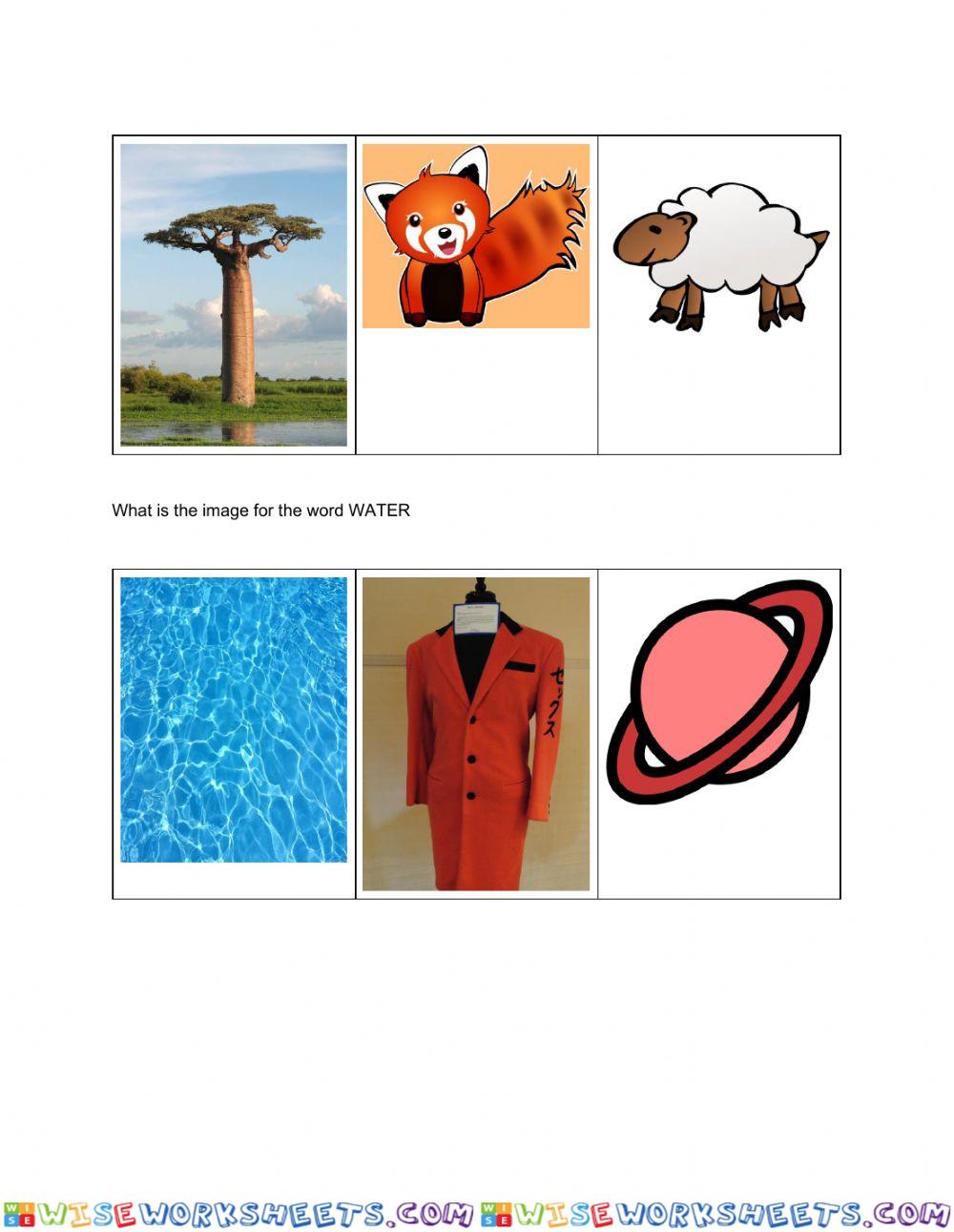 worksheet