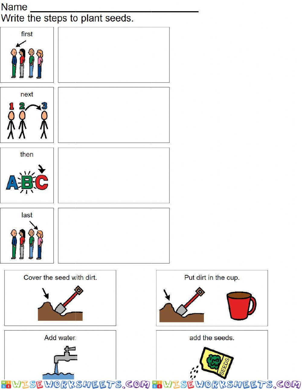 Steps to Plant Seeds