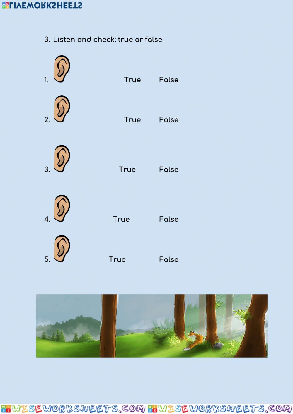 worksheet