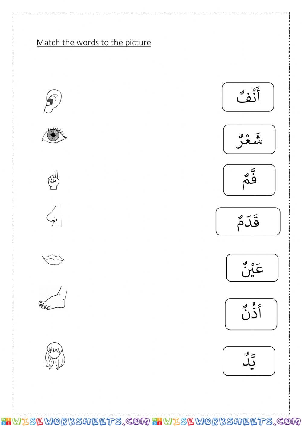 Body part in Arabic