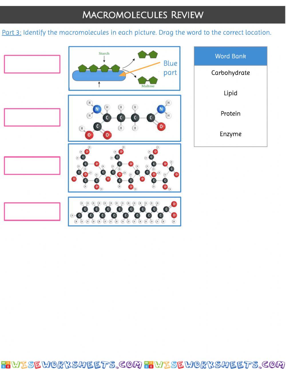 worksheet