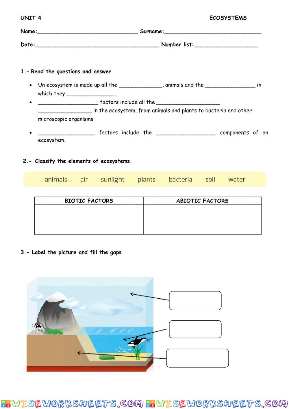worksheet
