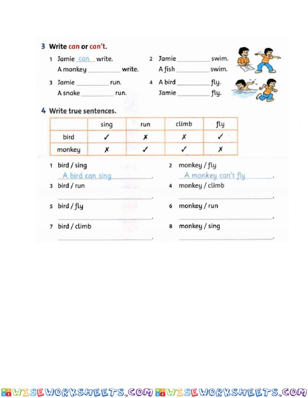 worksheet