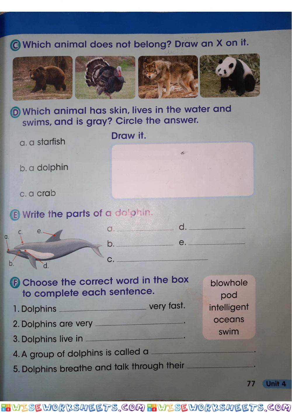 worksheet