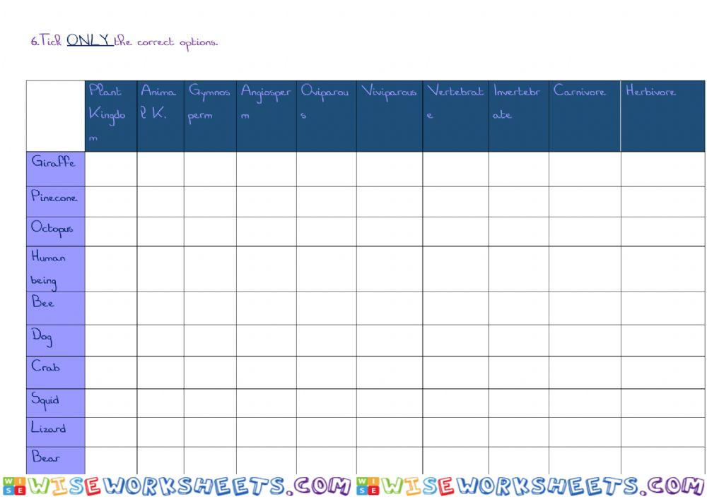 worksheet