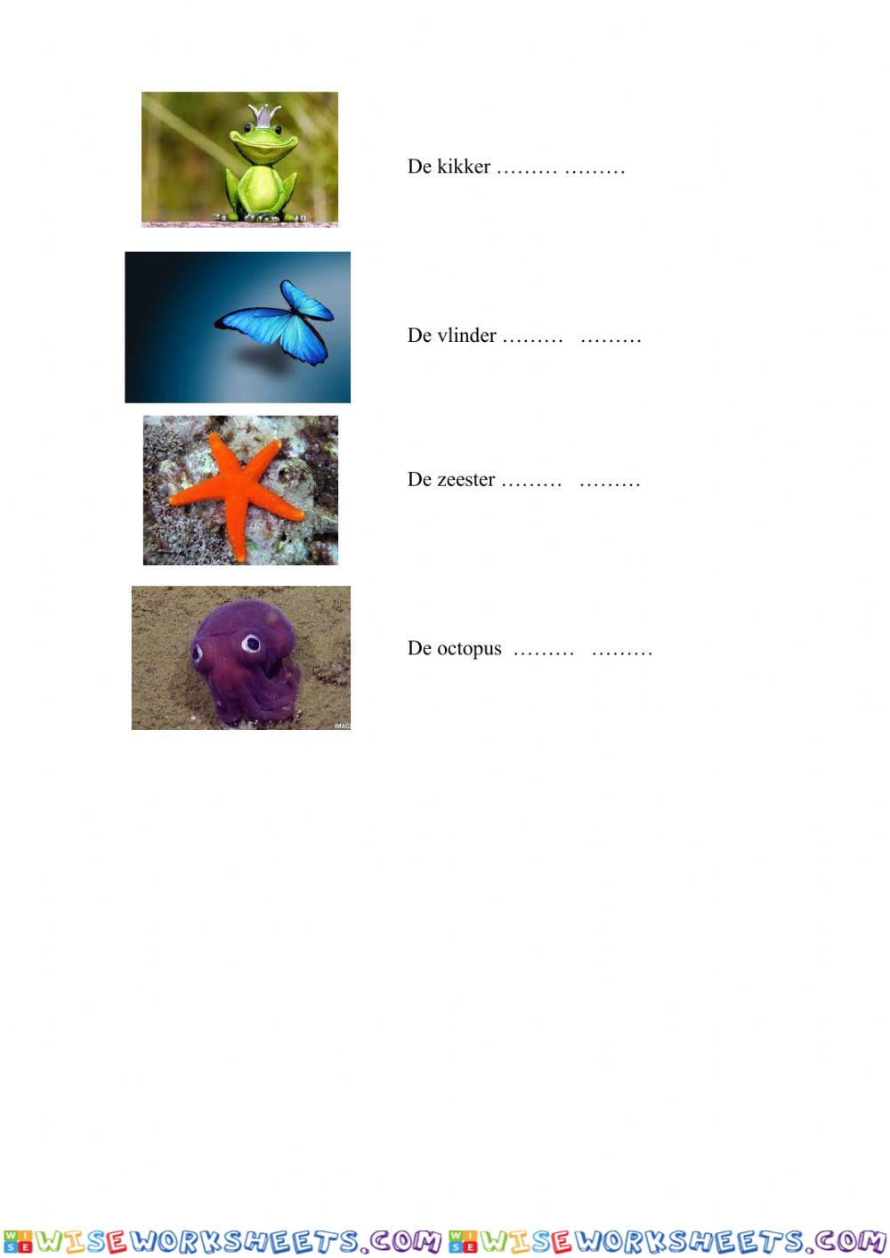 worksheet