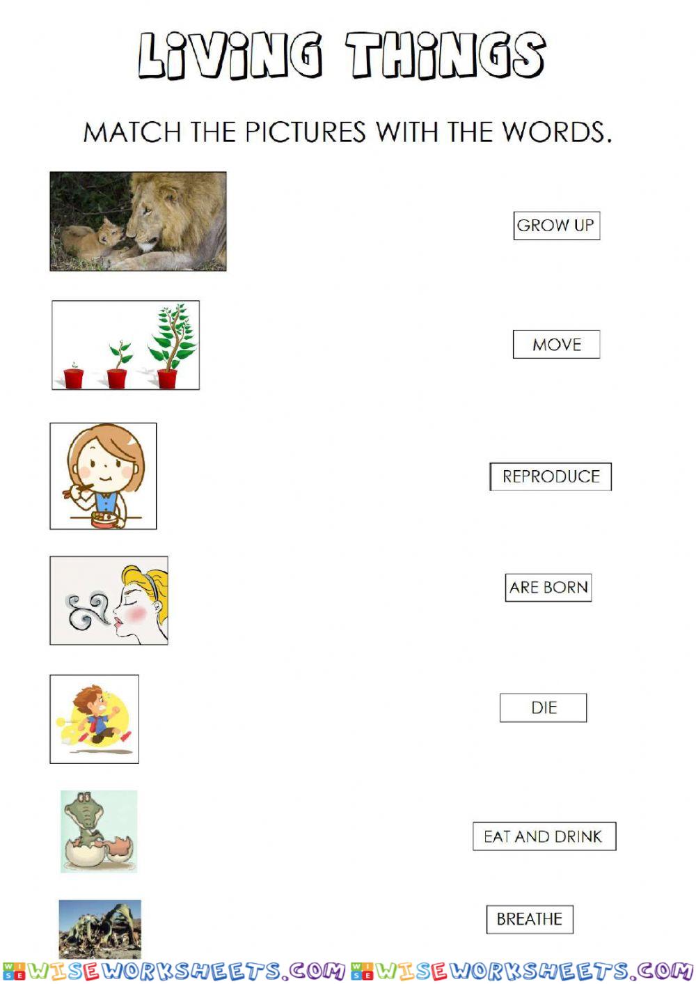 Characteristics of living things