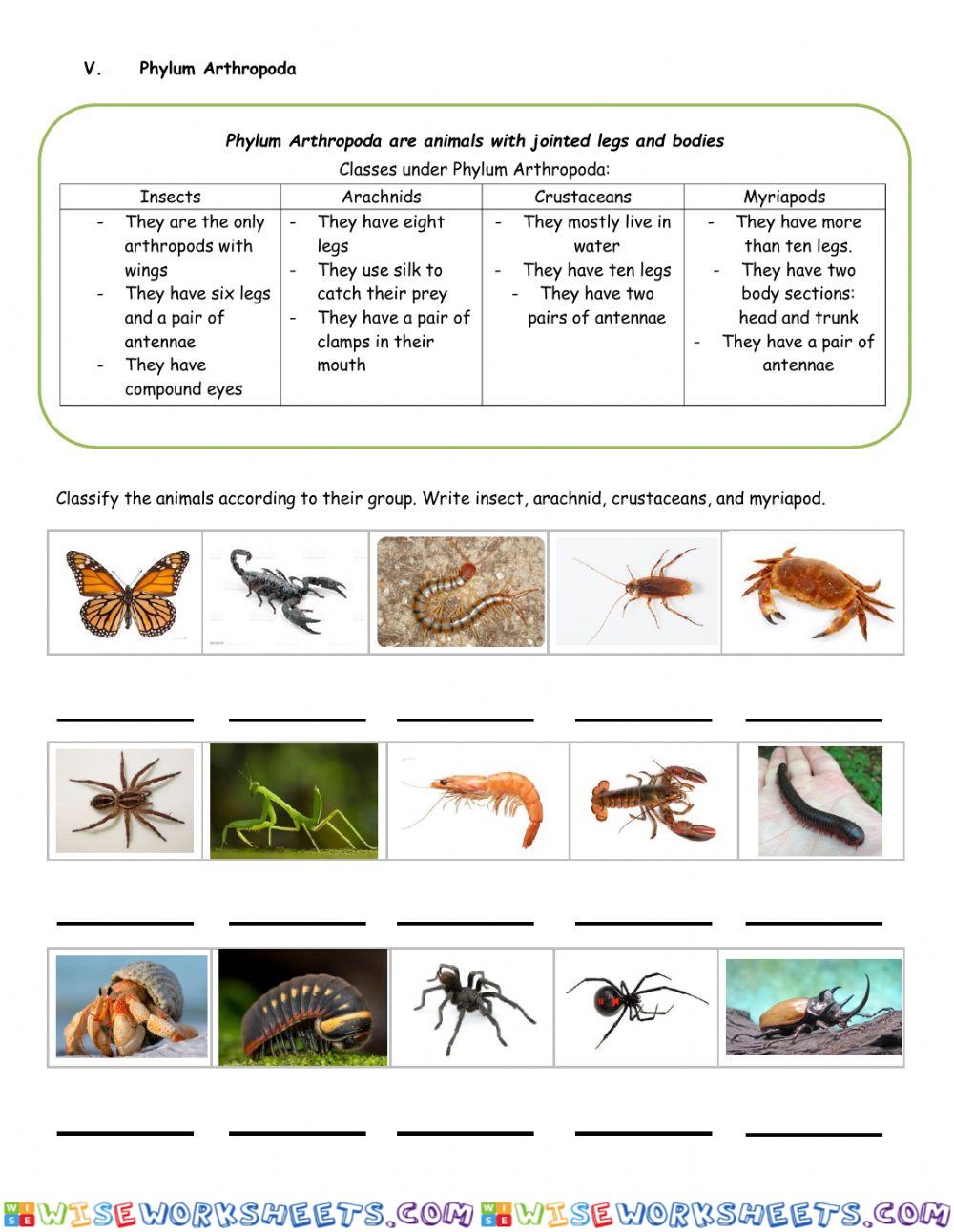 worksheet