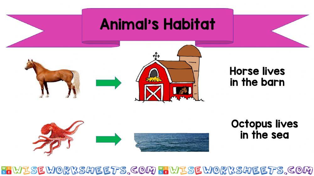 worksheet