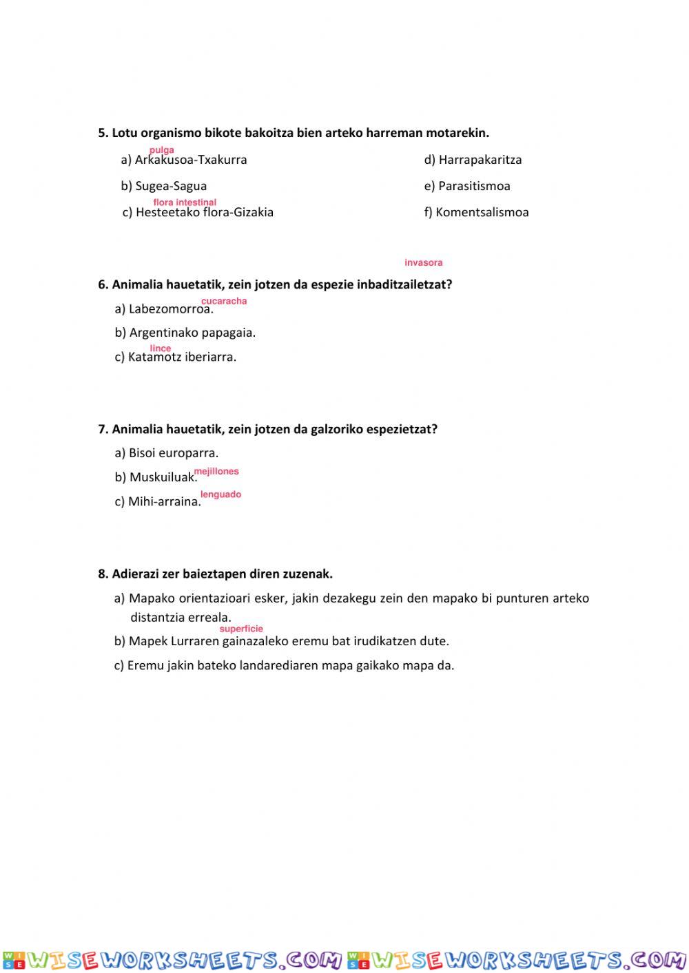 worksheet