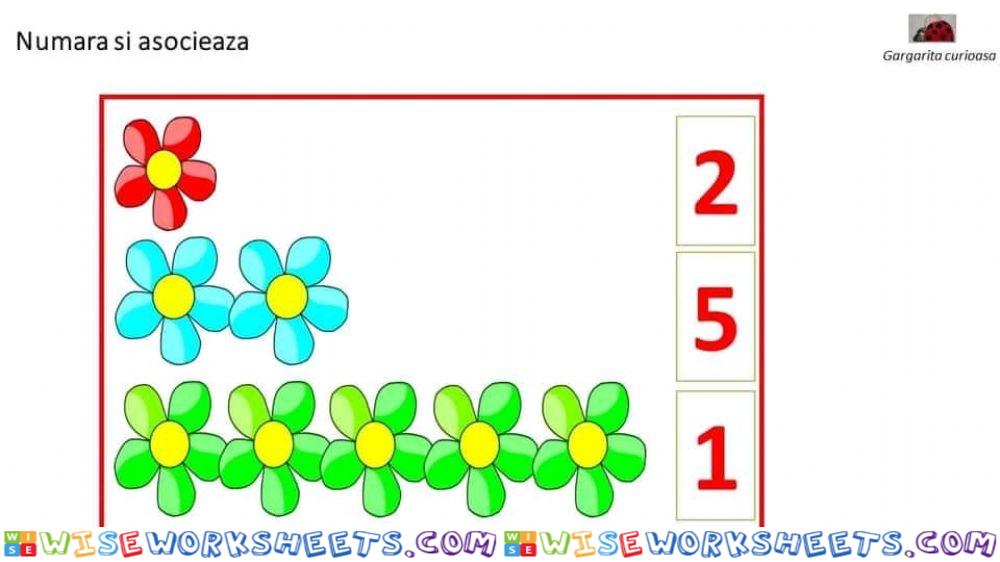 Associazione numero quantità