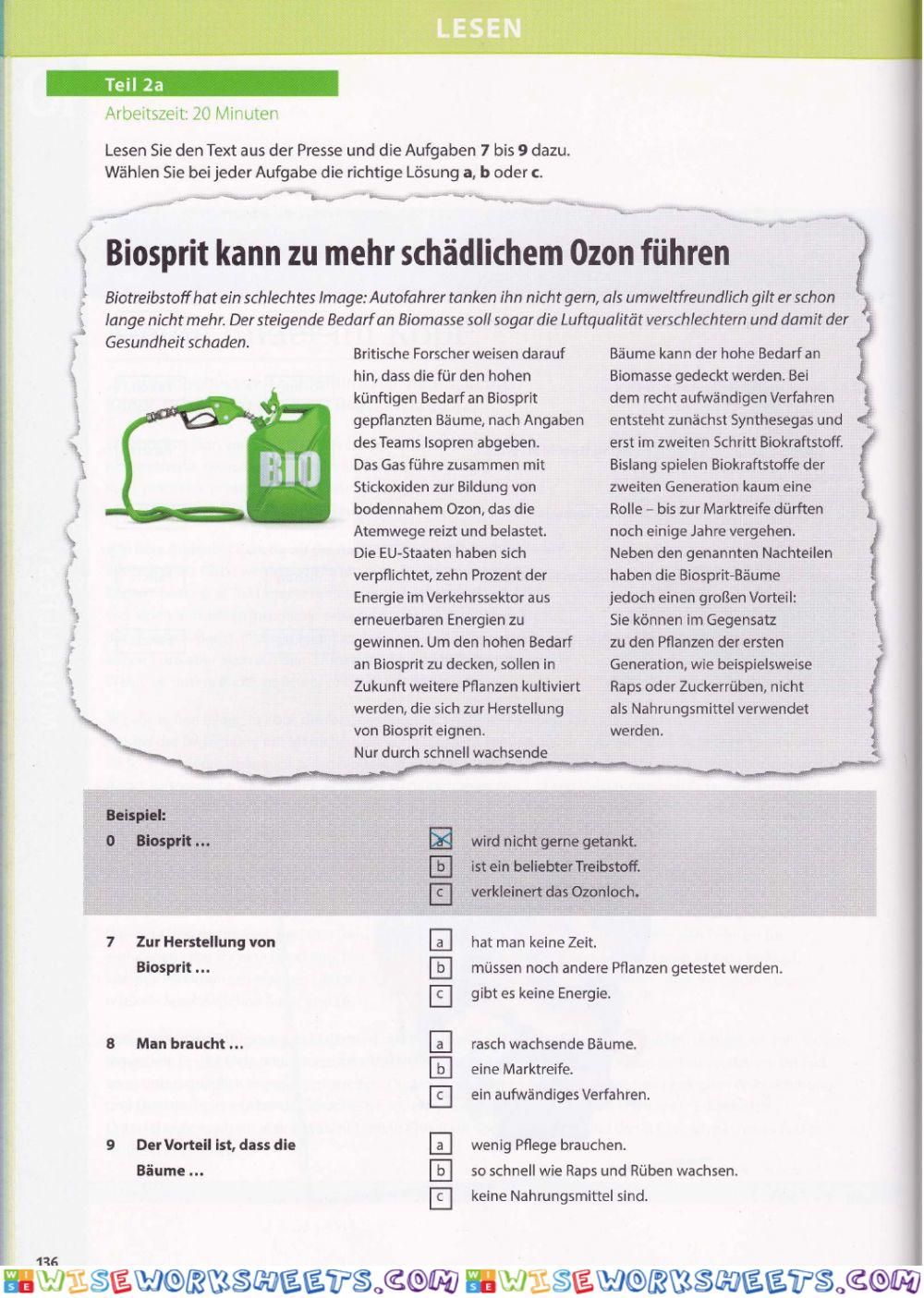worksheet