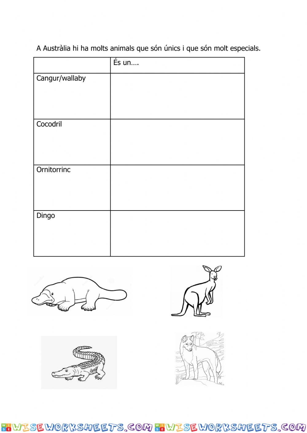 worksheet