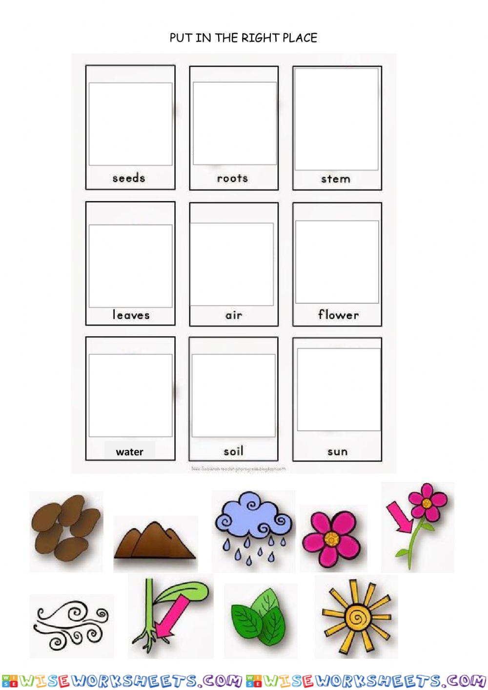 worksheet
