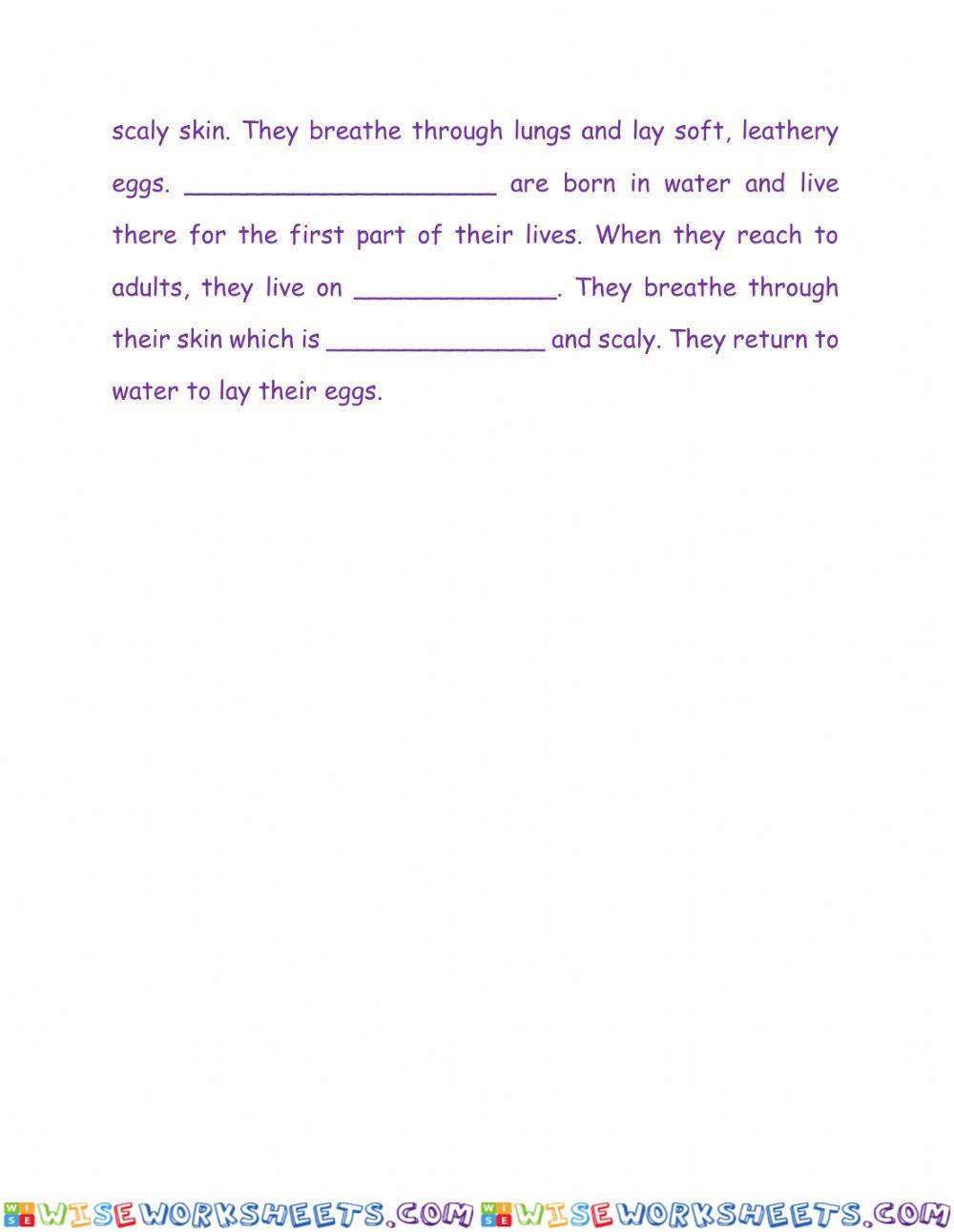 worksheet