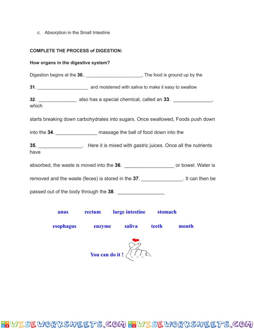 worksheet