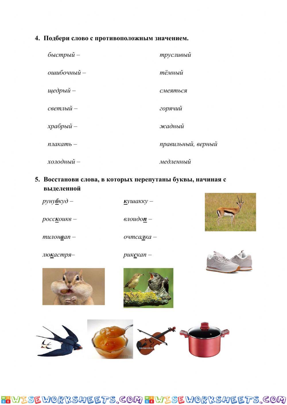worksheet