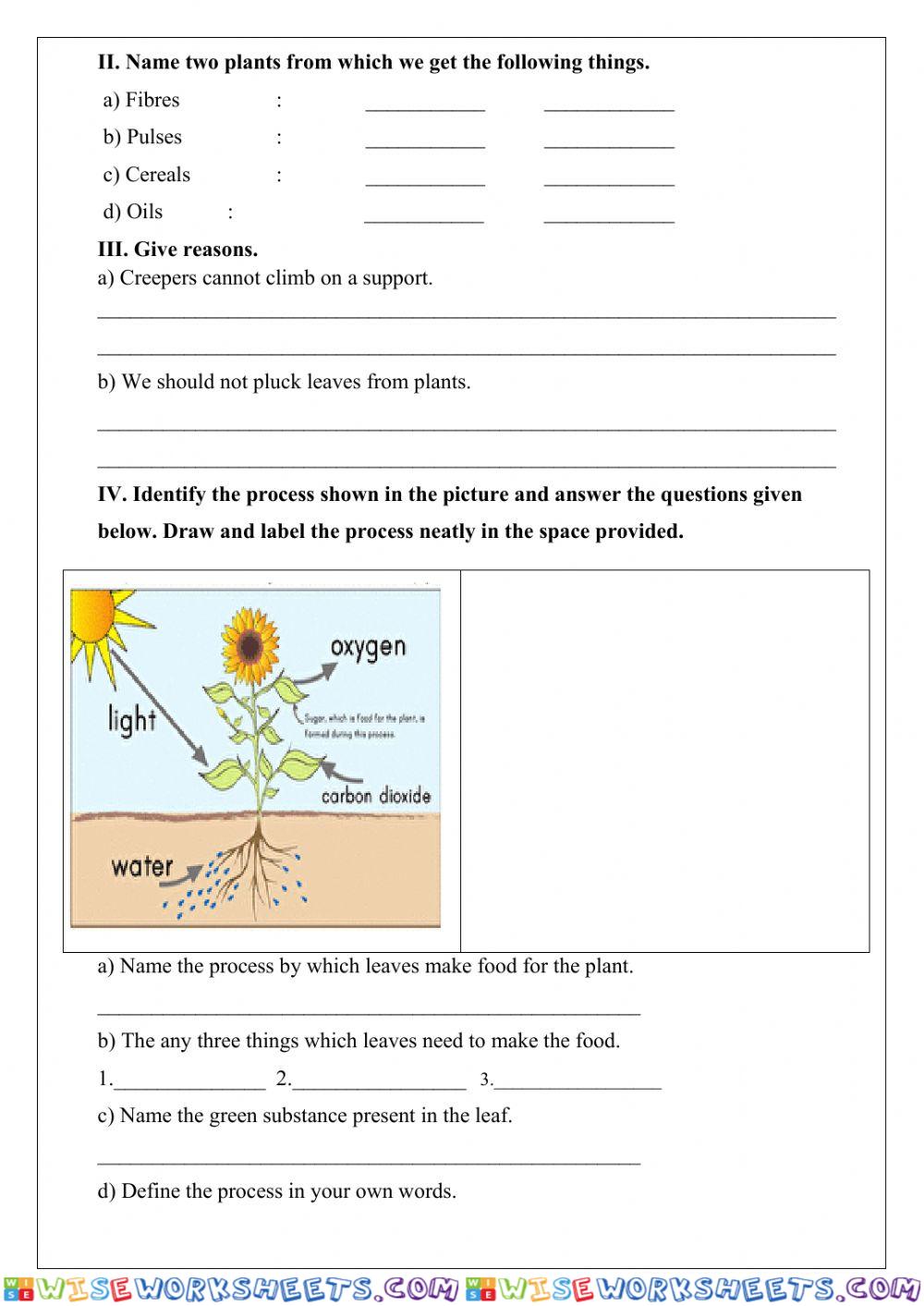 worksheet