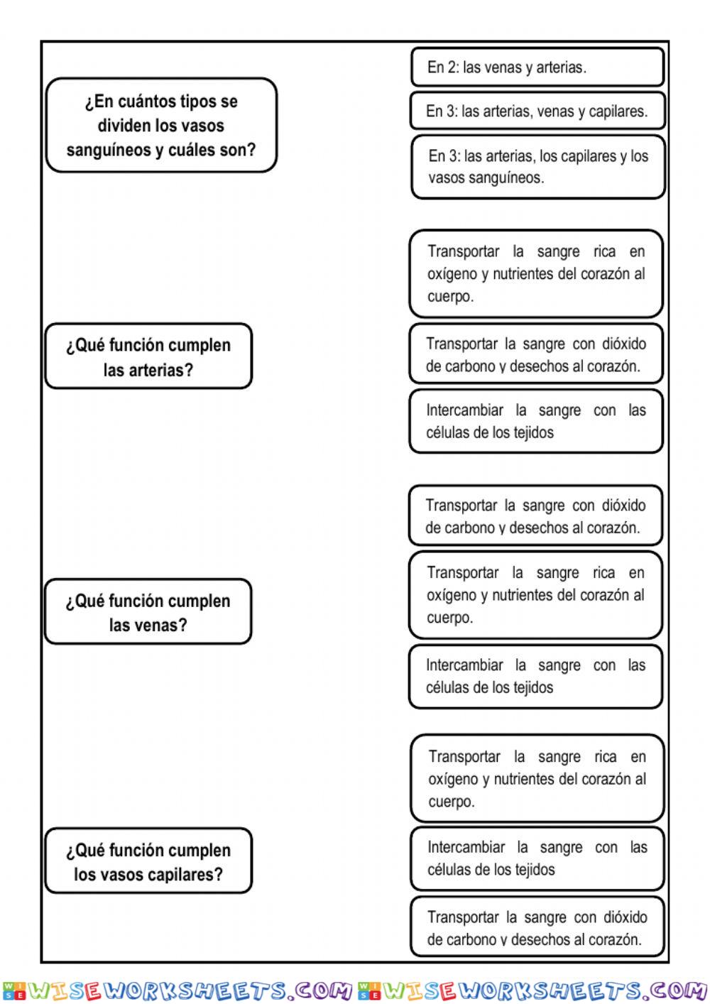 worksheet