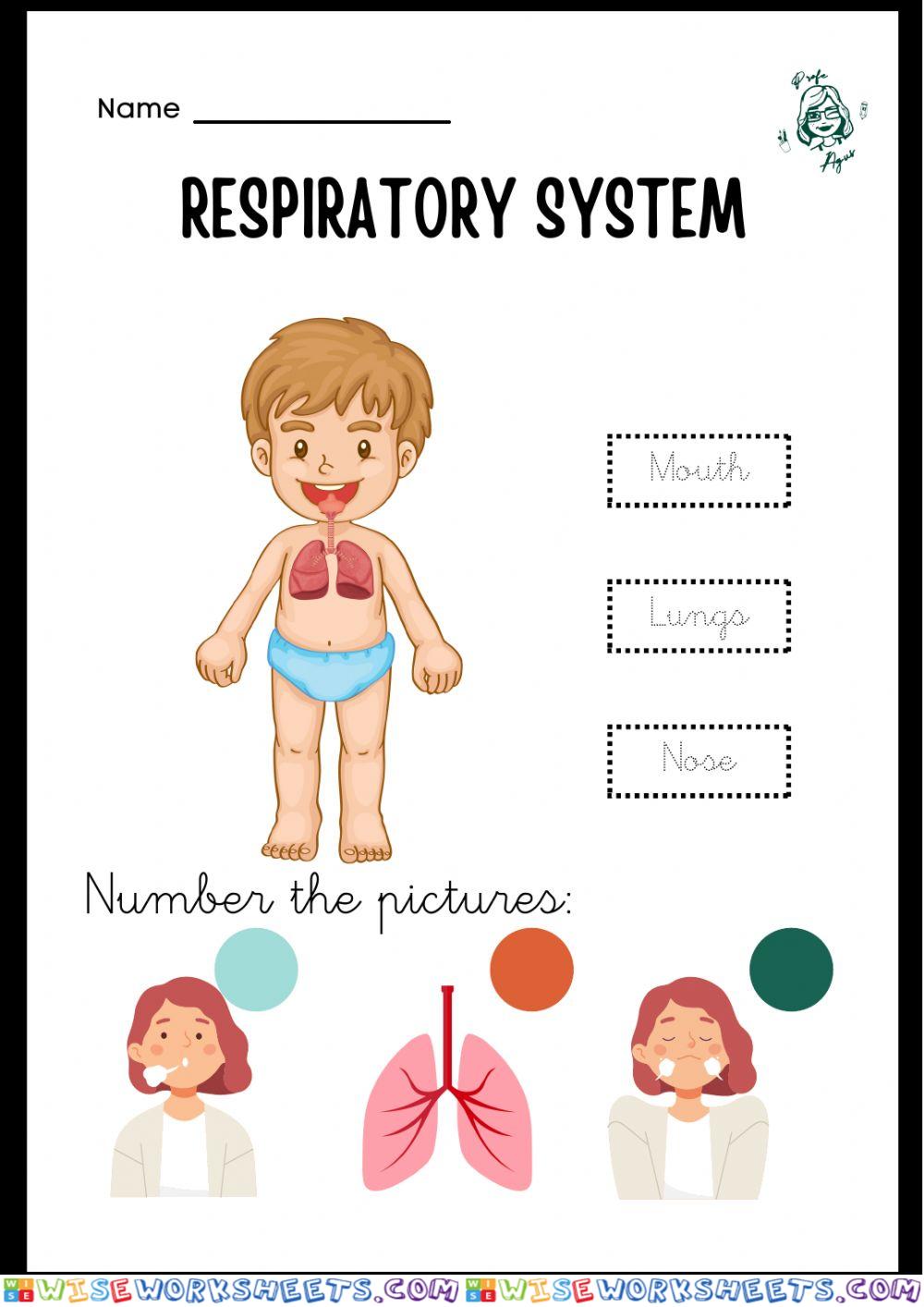 Science 1,  Body Systems