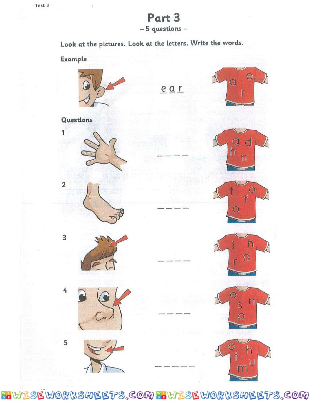 worksheet