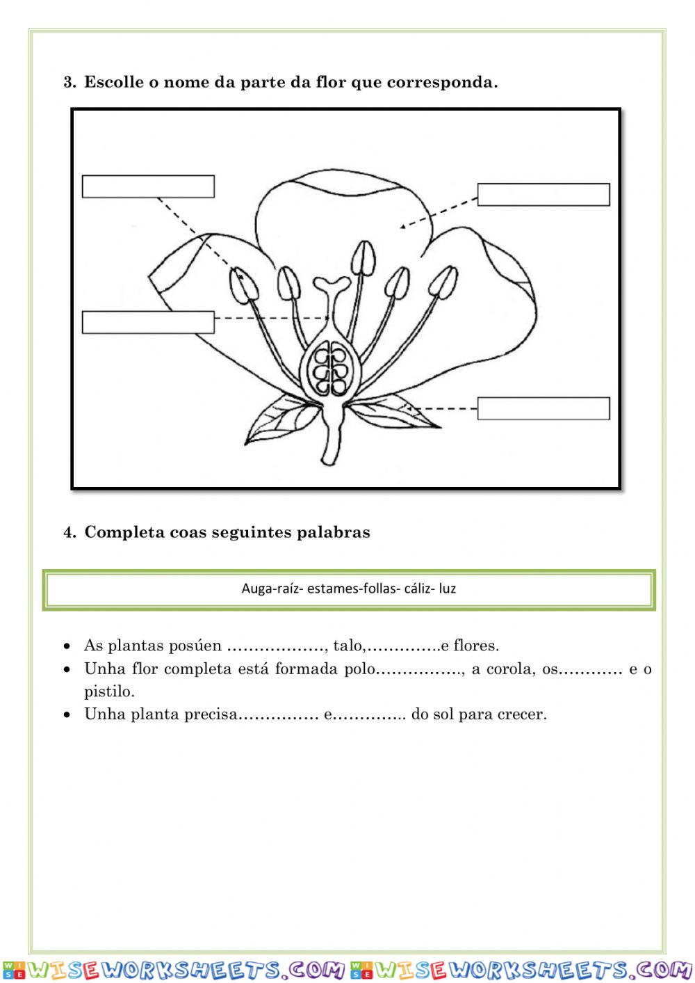 worksheet