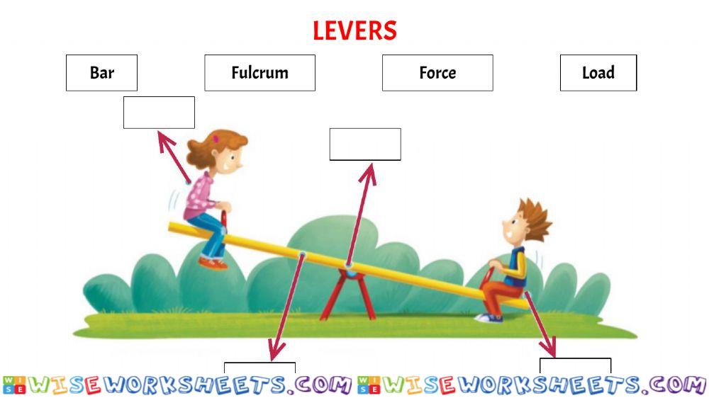 Levers and type of levers